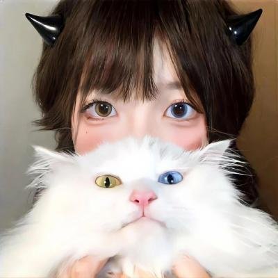 秋菊打官司