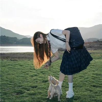 见卿卿